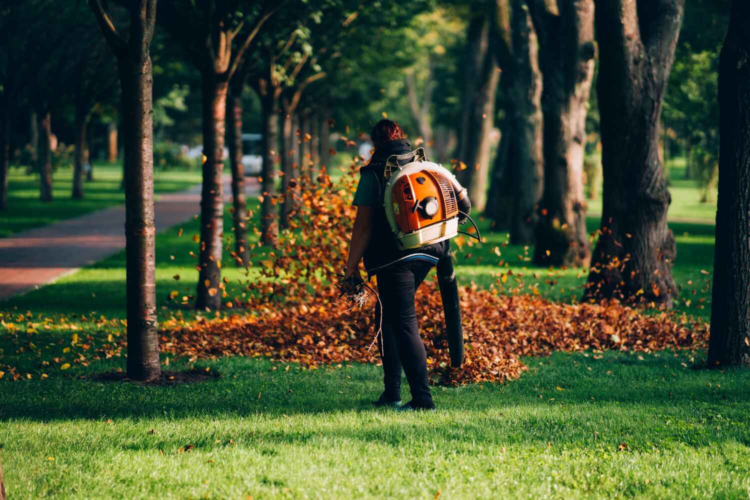 Best Tree Care Services  in Islamorada Village Of Islands, FL